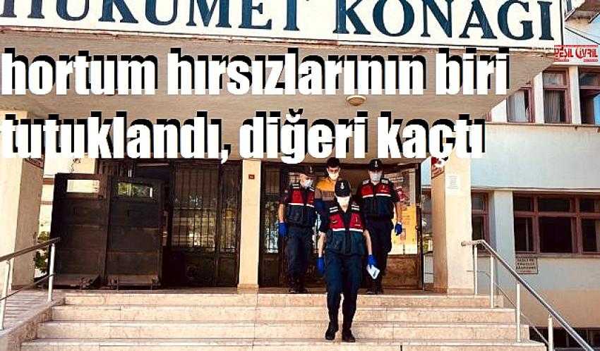 HORTUM HIRSIZLARI JASATIN TUZAĞINA YAKALANDI