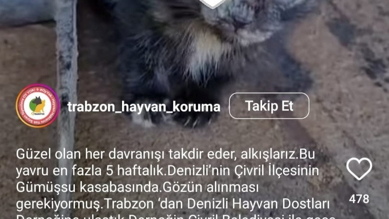 VETERİNERLERİN DUYARLILIĞI HAYATA BAĞLADI