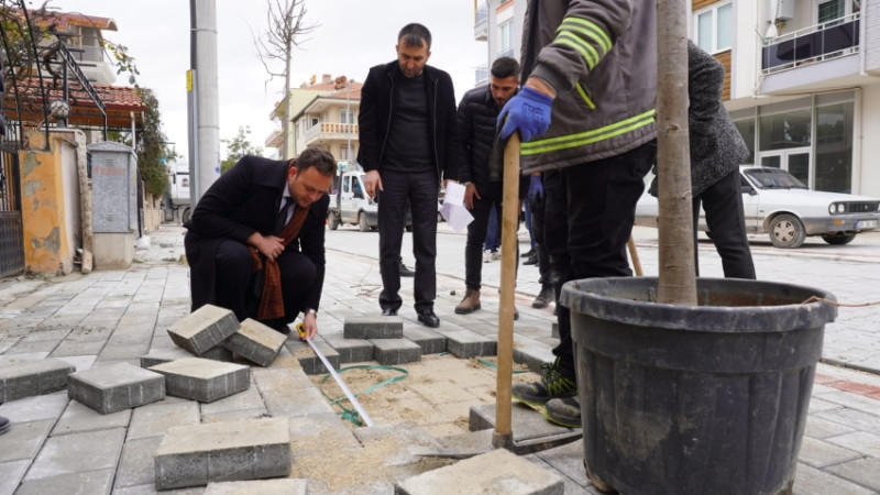 ÇİVRİL'DE TAMAMLANAN KALDIRIMLAR AĞAÇLANDIRILIYOR