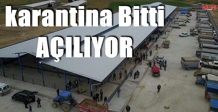 HAYVAN PAZARINDA KARANTİNA BİTTİ