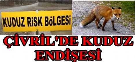 Sitelerde Kuduz Endişesi