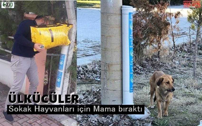 VİRÜS NEDENİYLE AÇ KALAN HAYVANLARI UNUTMADILAR